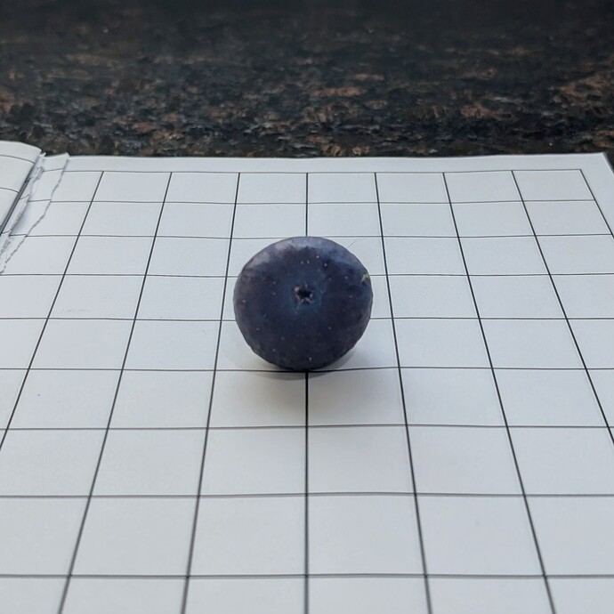 PXL_20250924_221209616~3