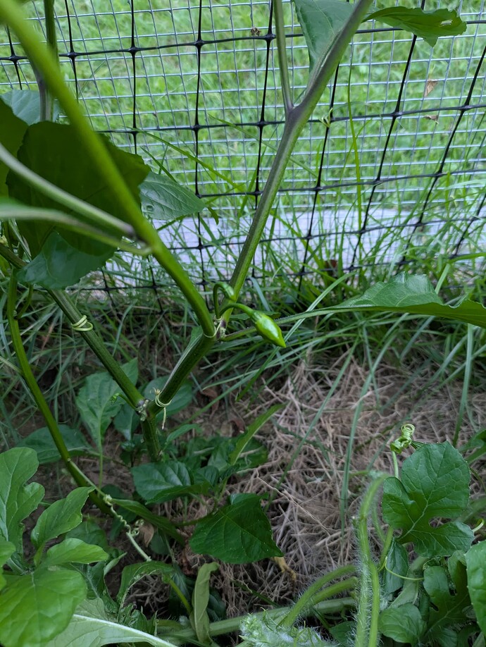 PXL_20250722_000705866