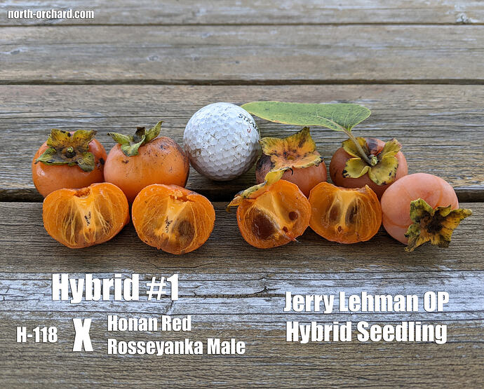 Hybrid Mix2_2026