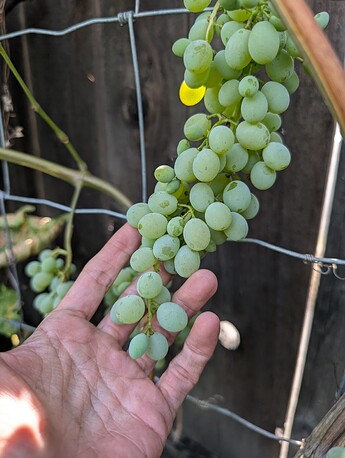 PXL_20250814_233210656