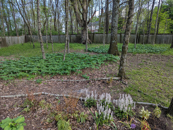 PXL_20260410_223754566