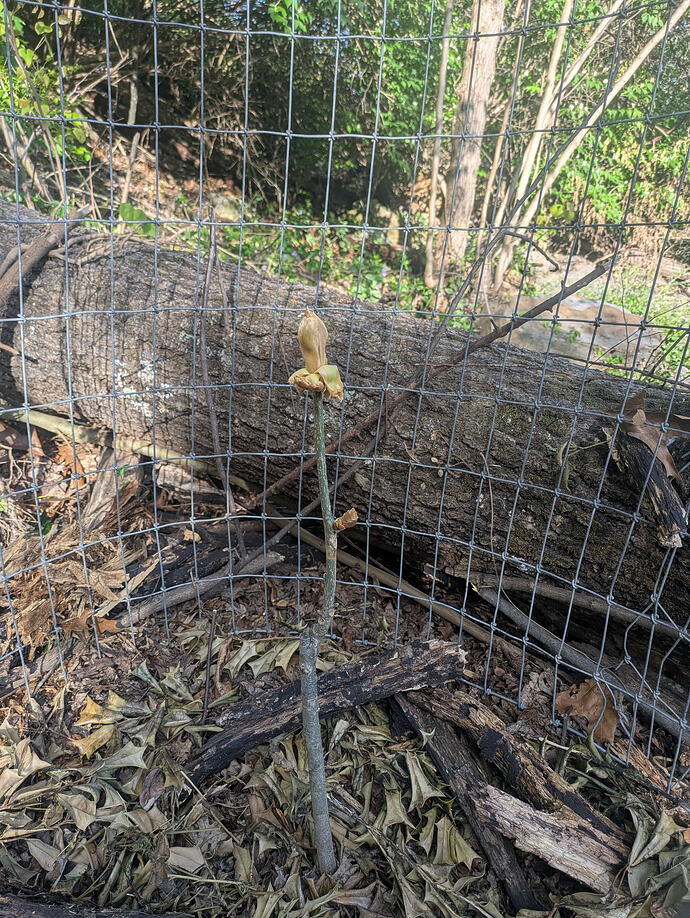 PXL_20260405_220356483