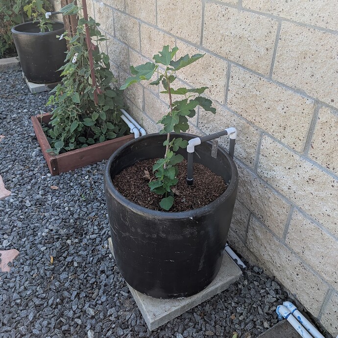 PXL_20251001_223240857