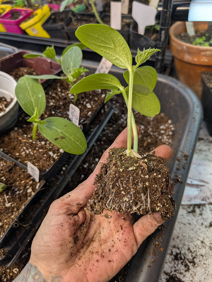 PXL_20260226_223725437