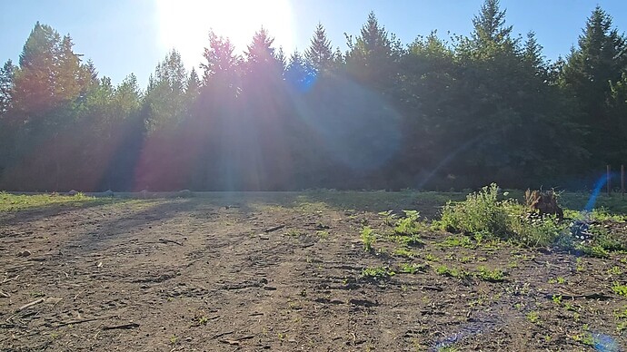 20250714_184916(1)