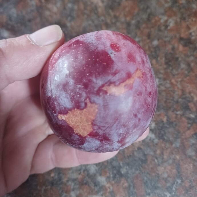 Screenshot_20250807_234813_Gallery