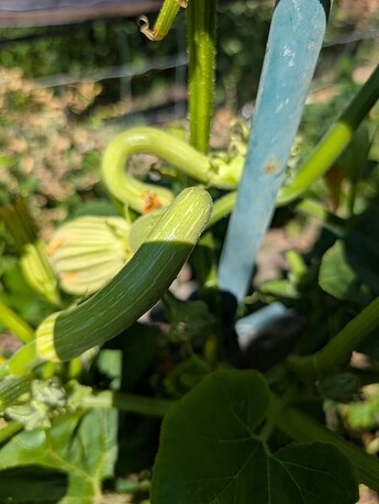 PXL_20250724_213047739