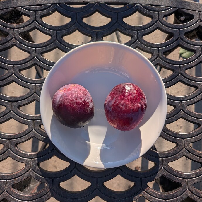 PXL_20250730_012208835