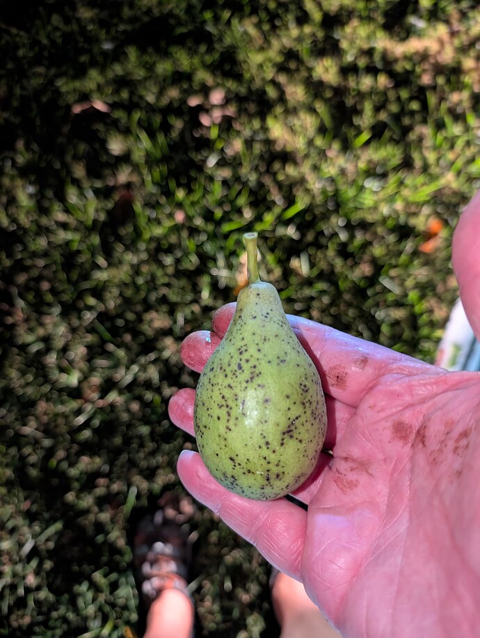 PXL_20250915_000519324