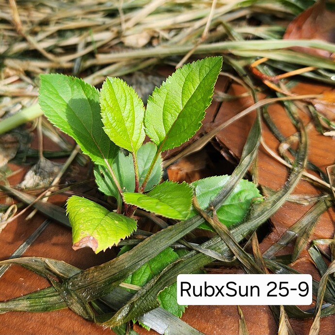 20250711_102032