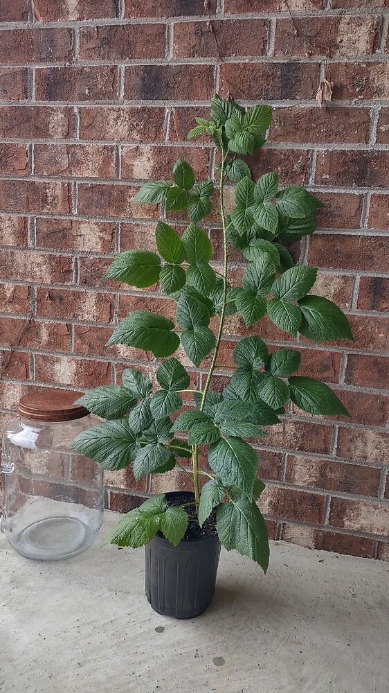 IMG_20251107_113422294_HDR