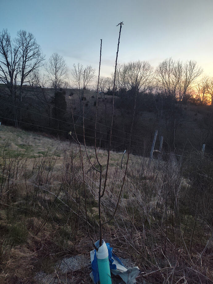 IMG_20260323_200430031_HDR