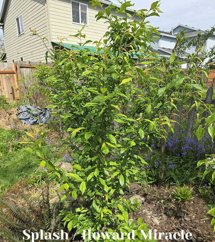 20260410_141644_edit_1775861072699 (2026-04-11T13_32_44.917)