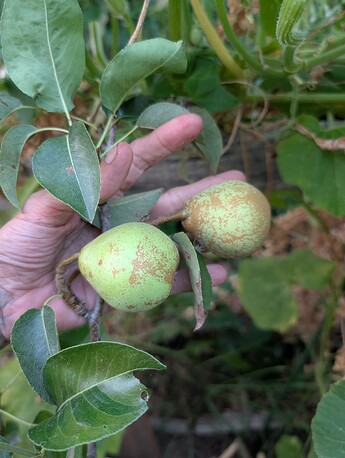 PXL_20250914_014041286