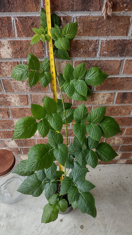 IMG_20251107_113406872_HDR