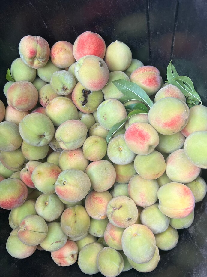 2025-09-06_14-11-21_760