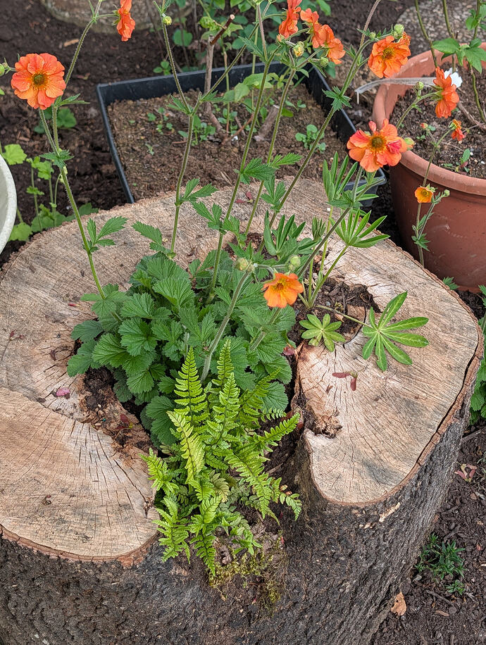 PXL_20260429_012911777