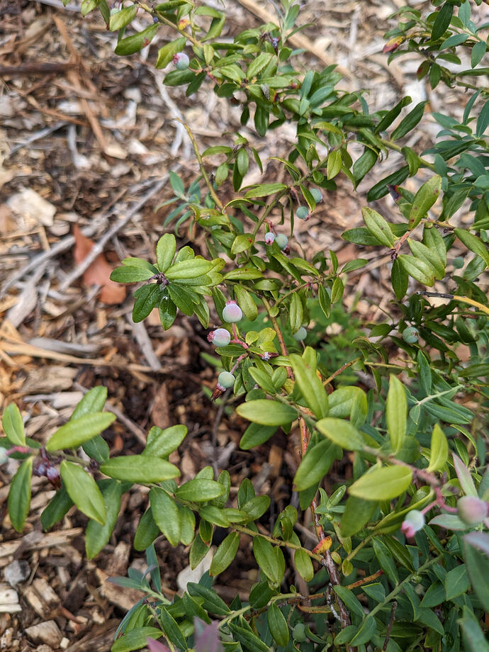 PXL_20260419_130627852