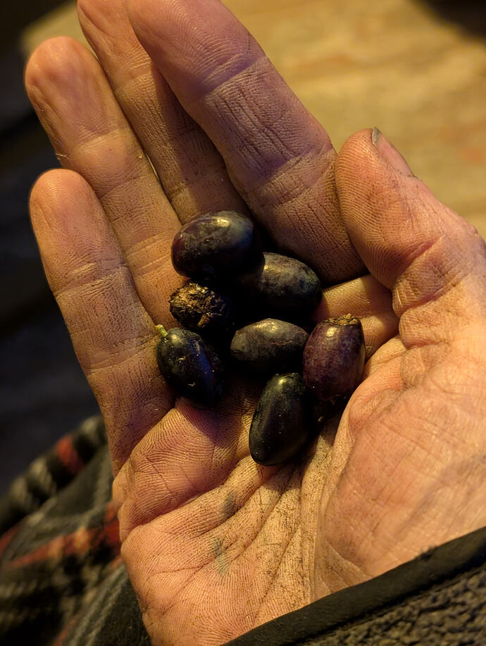 PXL_20260226_015851008