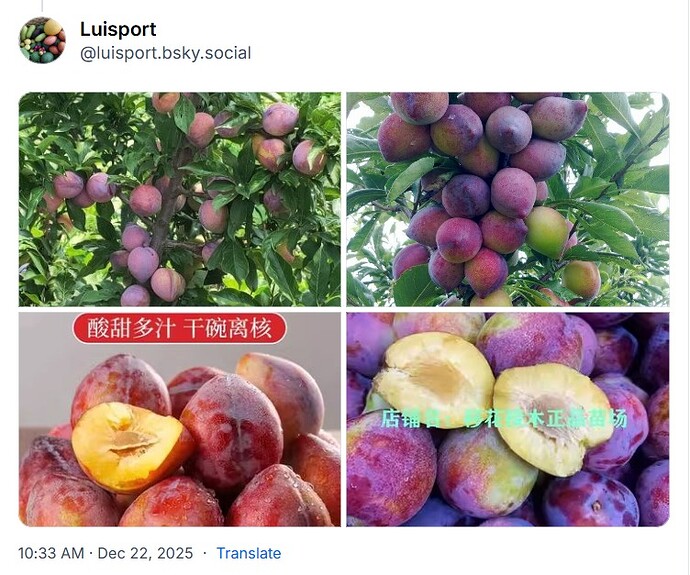 WhatsApp Image 2025-12-22 at 13.48.06