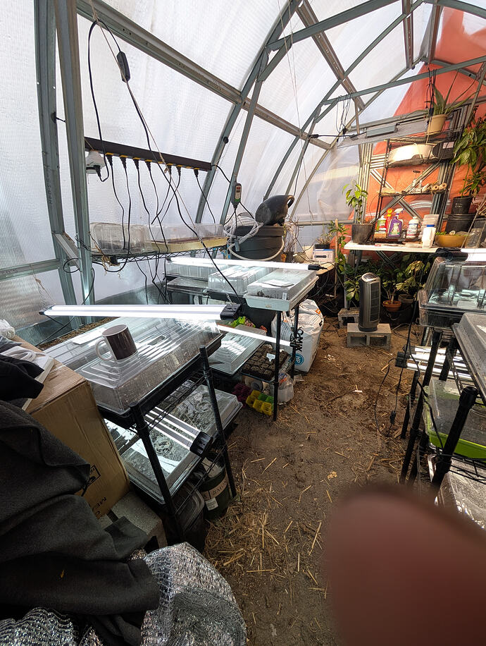 PXL_20260213_235559111