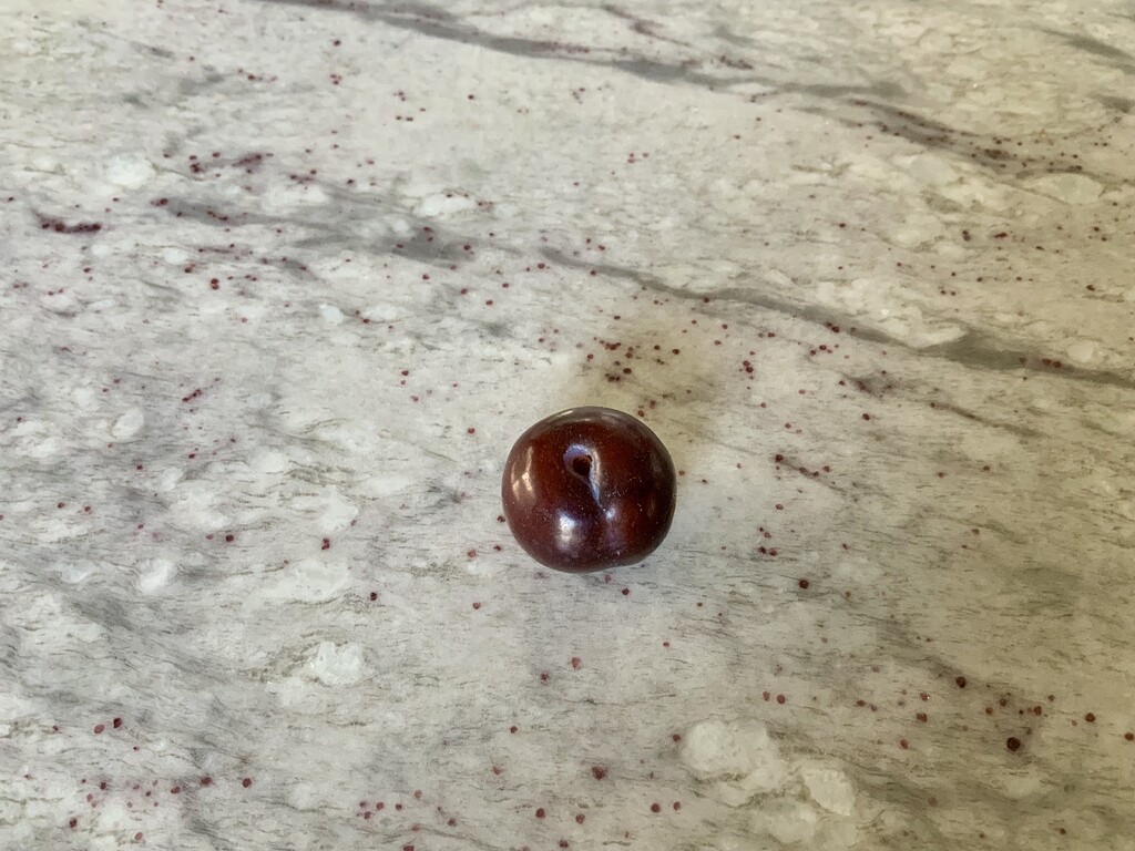 With photos provided can you identify this plum, please? - General ...