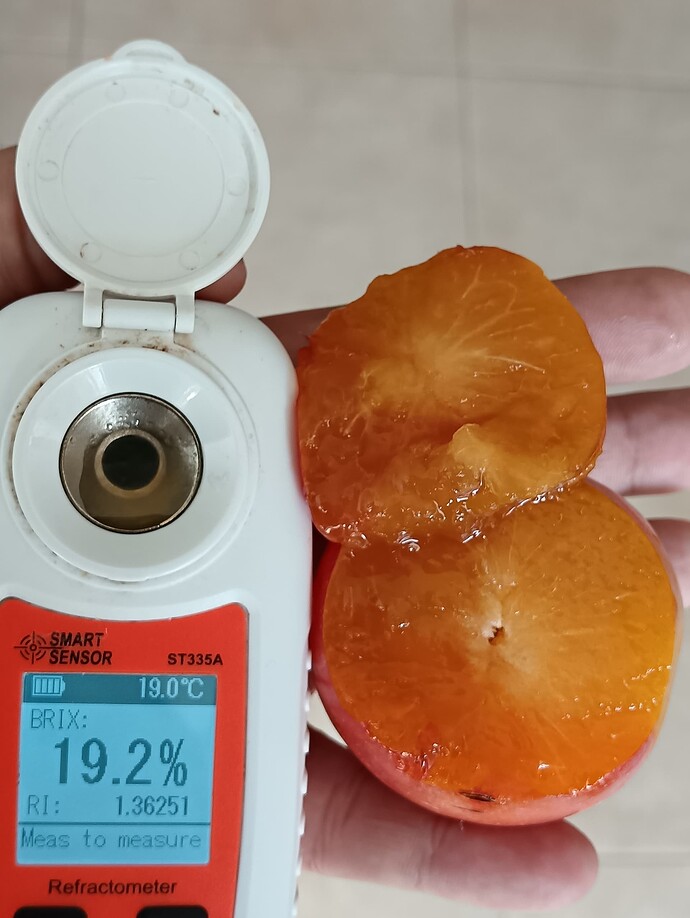 IMG_20250927_100002_edit_848530412924652