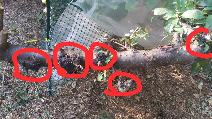 20250905_162025-EDIT