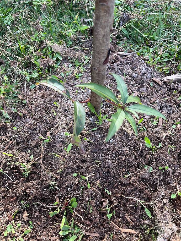 photo_2025-10-19_13-08-39