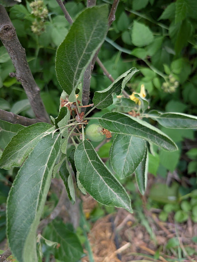 PXL_20260530_221629617