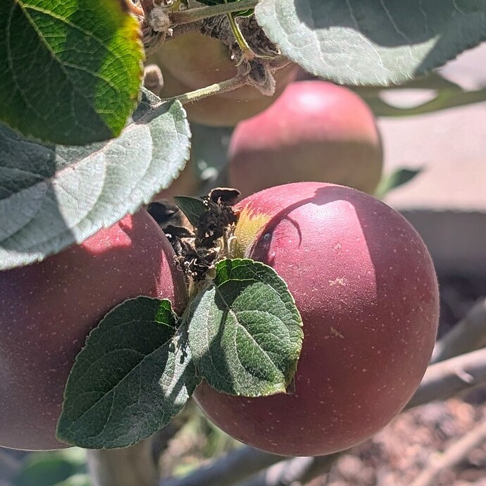 PXL_20251005_221704134~2