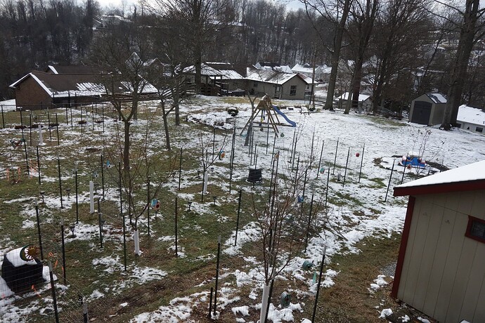 orchard vs no orchard and snow