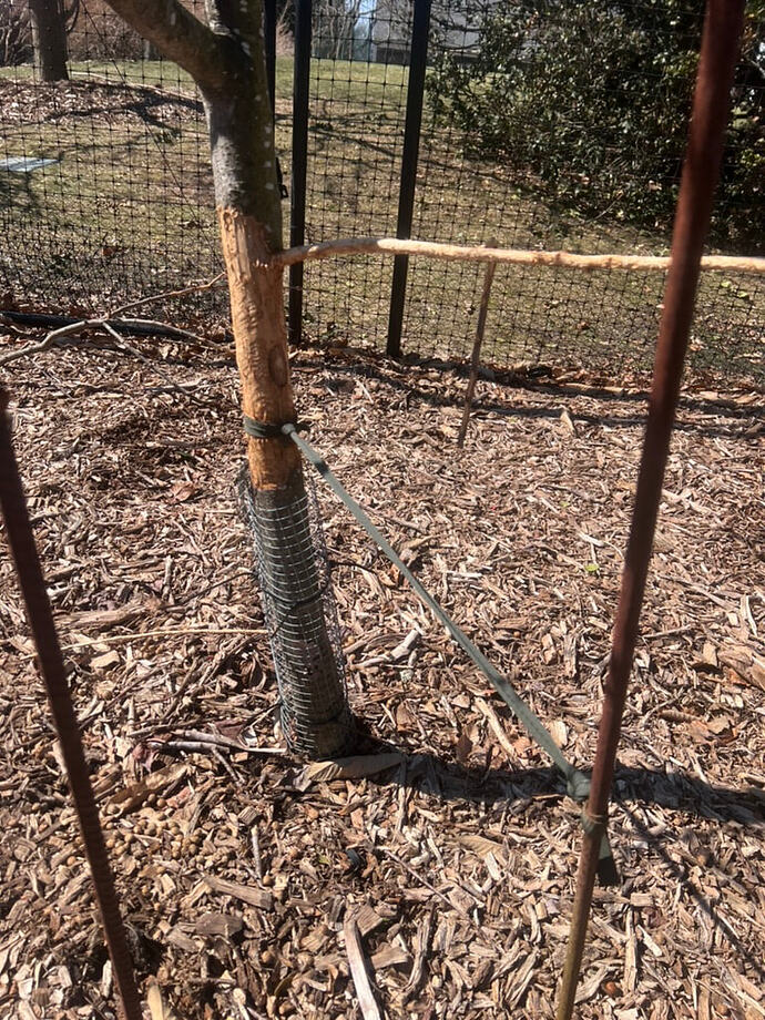 8D826C03-8C5F-48A5-82DC-B5AB6C7D62E4_1_105_c