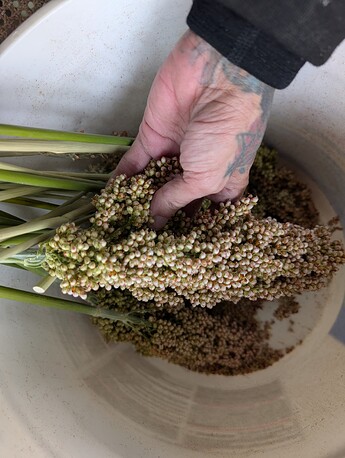 PXL_20251001_204518382