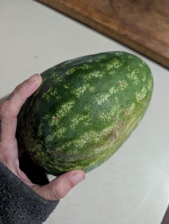 PXL_20251021_045705676