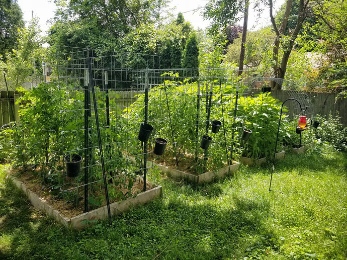 Garden