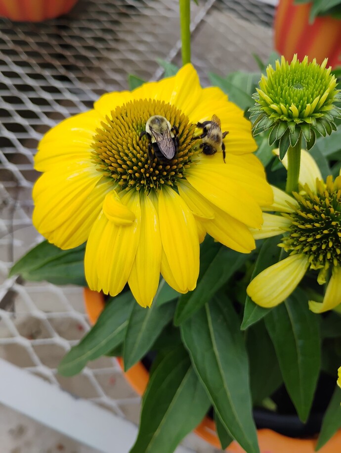 IMG_20250823_103121323