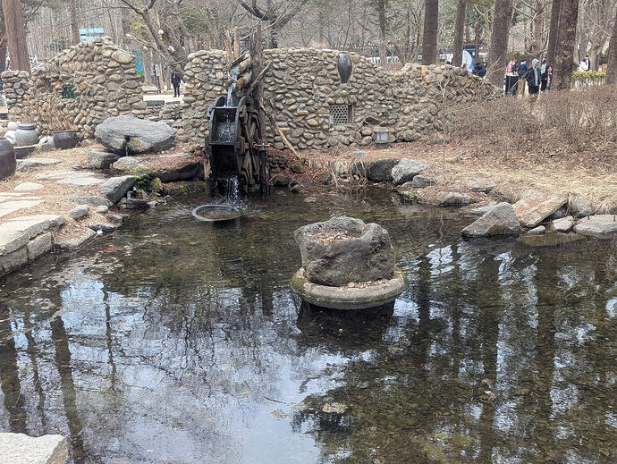 PXL_20260301_070210224