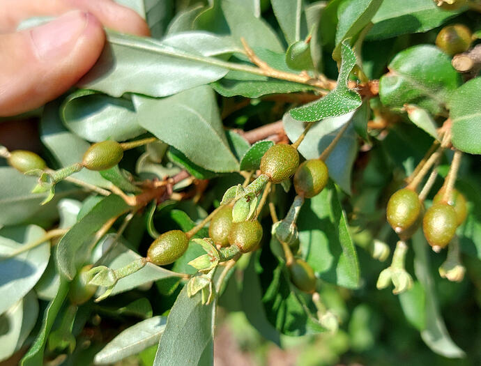 20260423_110801