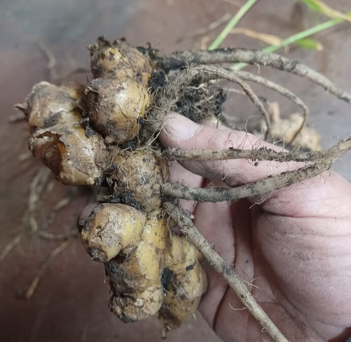 Screenshot_20251120_195201_Gallery