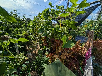 PXL_20250814_233416339