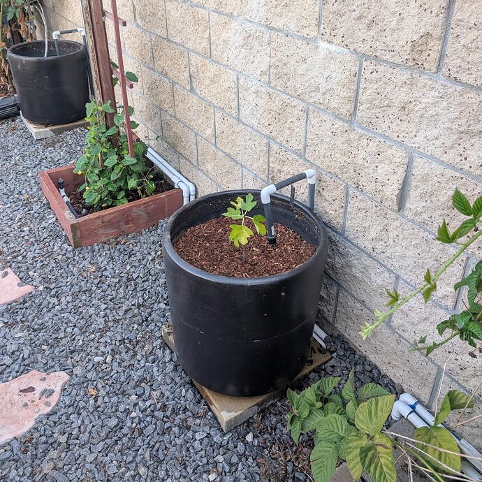 PXL_20250826_004839159