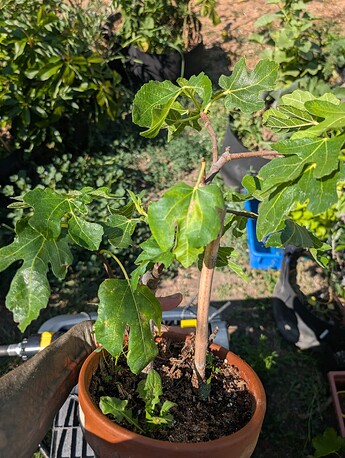 PXL_20250724_220508712