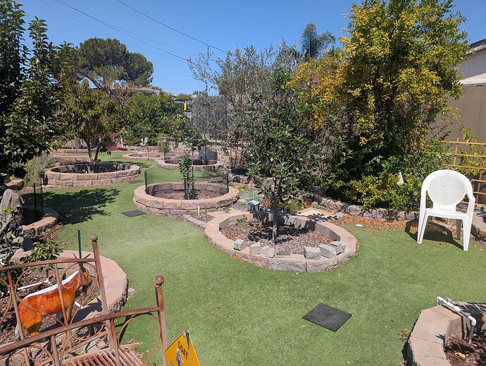 PXL_20250817_180744711