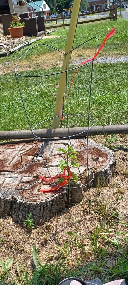 Screenshot_20250710_145151_Gallery