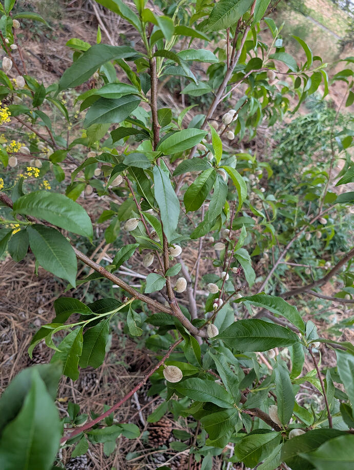 PXL_20260522_023835411