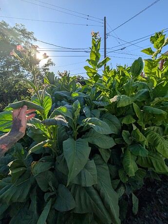 PXL_20250822_010620348