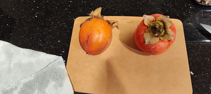 IMG_20251125_204856108