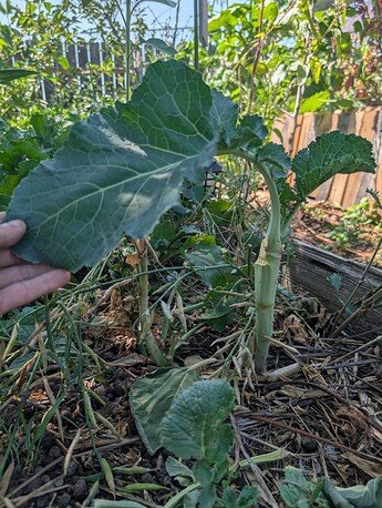 PXL_20250724_214430336