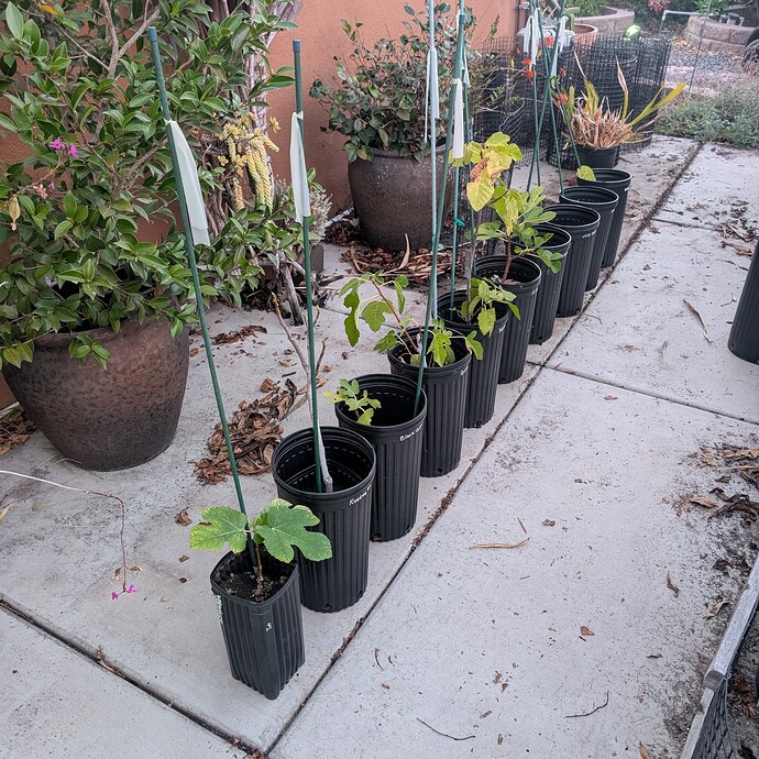 PXL_20250825_022828180